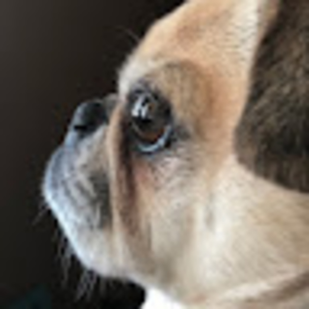 Meet your Posher, Kathleen